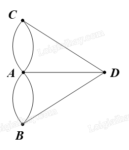 Giải khởi động trang 49 Chuyên đề học tập Toán 11 - Chân trời sáng tạo 3