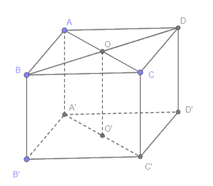 Giải mục 1 trang 115, 116 SGK Toán 11 tập 1 - Cùng khám phá 1