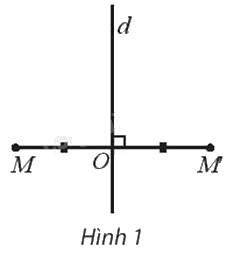 Giải mục 1 trang 15 Chuyên đề học tập Toán 11 - Chân trời sáng tạo 1