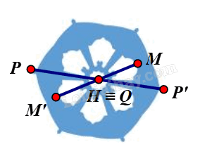 Giải mục 1 trang 20, 21 Chuyên đề học tập Toán 11 - Chân trời sáng tạo 4