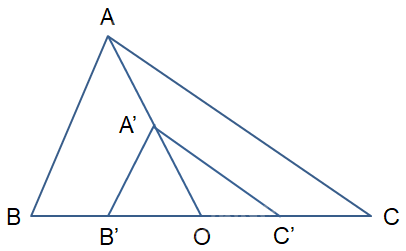 Giải mục 1 trang 26, 27, 28, 29, 30 Chuyên đề học tập Toán 11 - Cánh diều 1 1