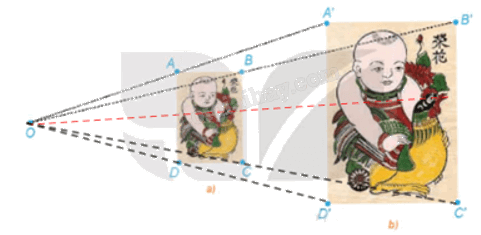 Giải mục 1 trang 26, 27 Chuyên đề học tập Toán 11 - Kết nối tri thức 0 3