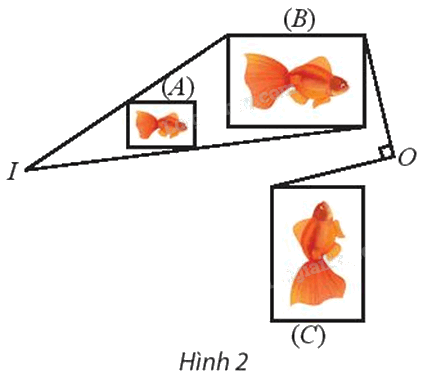 Giải mục 1 trang 38, 39 Chuyên đề học tập Toán 11 - Chân trời sáng tạo 2 1