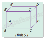 Giải mục 1 trang 41, 42, 43 SGK Toán 12 tập 2 - Cùng khám phá 0 1