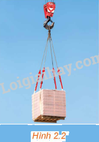 Giải mục 1 trang 46,47,48 SGK Toán 12 tập 1 - Kết nối tri thức 0 1