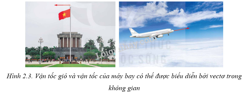 Giải mục 1 trang 46,47,48 SGK Toán 12 tập 1 - Kết nối tri thức 1 1