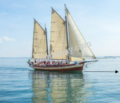 Giải mục 1 trang 46,47,48 SGK Toán 12 tập 1 - Kết nối tri thức 4