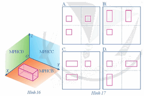 Giải mục 1 trang 50, 51, 52, 53, 54, 55, 56, 57 Chuyên đề học tập Toán 11 - Cánh diều 1 1