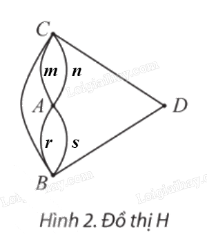 Giải mục 1 trang 50, 51, 52, 53, 54 Chuyên đề học tập Toán 11 - Chân trời sáng tạo 3