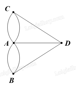 Giải mục 1 trang 50, 51, 52, 53, 54 Chuyên đề học tập Toán 11 - Chân trời sáng tạo 9