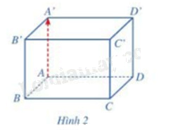 Giải mục 1 trang 50, 51, 52 SGK Toán 12 tập 2 - Cánh diều 0 1