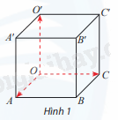 Giải mục 1 trang 52,53 SGK Toán 12 tập 1 - Chân trời sáng tạo 1