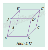 Giải mục 1 trang 54, 55, 56, 57, 58, 59 SGK Toán 12 tập 2 - Cùng khám phá 1