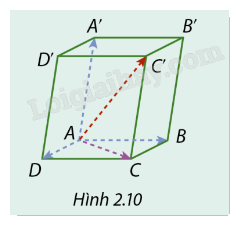 Giải mục 1 trang 55, 56, 57, 58 SGK Toán 12 tập 1 - Cùng khám phá 3