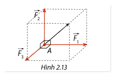 Giải mục 1 trang 55, 56, 57, 58 SGK Toán 12 tập 1 - Cùng khám phá 8