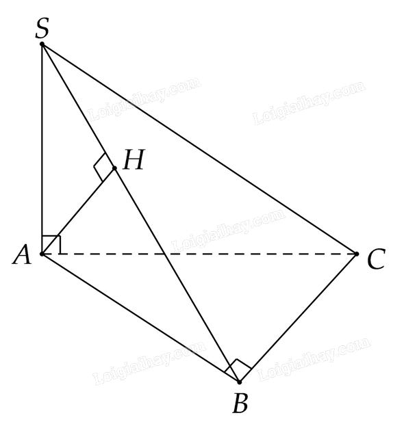 Giải mục 1 trang 55, 56 SGK Toán 11 tập 2 - Cùng khám phá 1