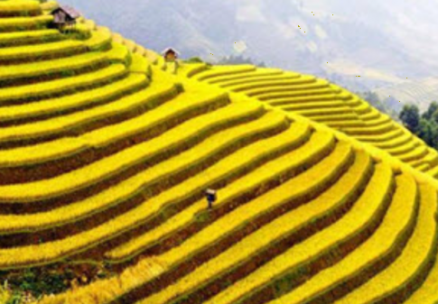 Giải mục 1 trang 88 SGK Toán 11 tập 1 - Kết nối tri thức 3