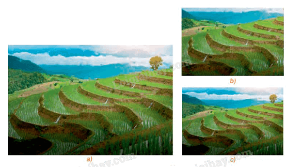 Giải mục 2 trang 27, 28, 29 Chuyên đề học tập Toán 11 - Kết nối tri thức 1