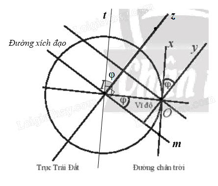Giải mục 2 trang 27, 28 Chuyên đề học tập Toán 11 - Chân trời sáng tạo 2