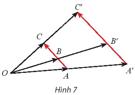 Giải mục 2 trang 32, 33, 34, 35 Chuyên đề học tập Toán 11 - Chân trời sáng tạo 1 1