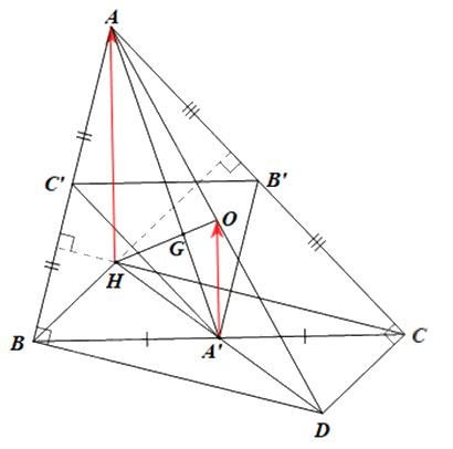 Giải mục 2 trang 32, 33, 34, 35 Chuyên đề học tập Toán 11 - Chân trời sáng tạo 2 1
