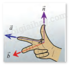 Giải mục 2 trang 33, 34 SGK Toán 12 tập 2 - Chân trời sáng tạo 2 1