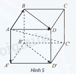 Giải mục 2 trang 43,44,45 SGK Toán 12 tập 1 - Chân trời sáng tạo 0 1