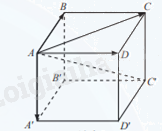 Giải mục 2 trang 43,44,45 SGK Toán 12 tập 1 - Chân trời sáng tạo 1 1