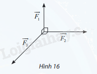 Giải mục 2 trang 43,44,45 SGK Toán 12 tập 1 - Chân trời sáng tạo 7