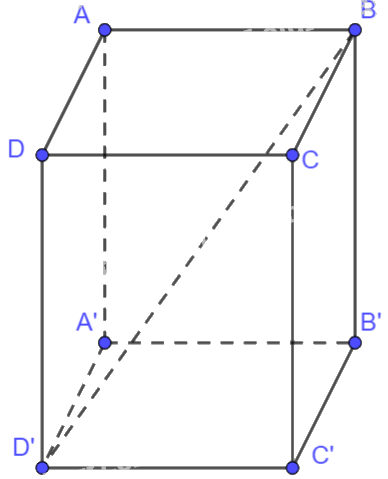 Giải mục 2 trang 49, 50, 51 SGK Toán 12 tập 1 - Kết nối tri thức 6