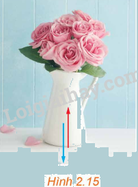 Giải mục 2 trang 49, 50, 51 SGK Toán 12 tập 1 - Kết nối tri thức 6 1