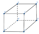 Giải mục 2 trang 53, 54, 55 SGK Toán 12 tập 1 - Chân trời sáng tạo 1 1
