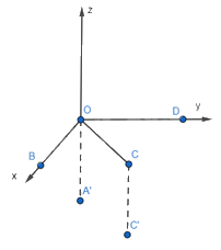 Giải mục 2 trang 53, 54, 55 SGK Toán 12 tập 1 - Chân trời sáng tạo 1 2