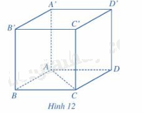 Giải mục 2 trang 58,59,60 SGK Toán 12 tập 1 - Cánh diều 5