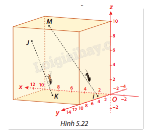 Giải mục 2 trang 59, 60, 61, 62, 63 SGK Toán 12 tập 2 - Cùng khám phá 6