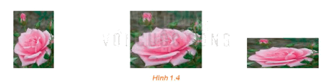 Giải mục 2 trang 6, 7, 8 Chuyên đề học tập Toán 11 - Kết nối tri thức 1 1