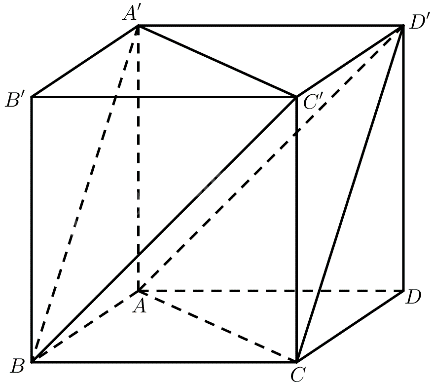Giải mục 2 trang 76 SGK Toán 11 tập 2 - Chân trời sáng tạo 1