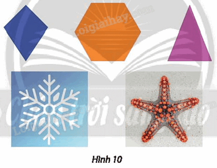 Giải mục 3 trang 17, 18 Chuyên đề học tập Toán 11 - Chân trời sáng tạo 3