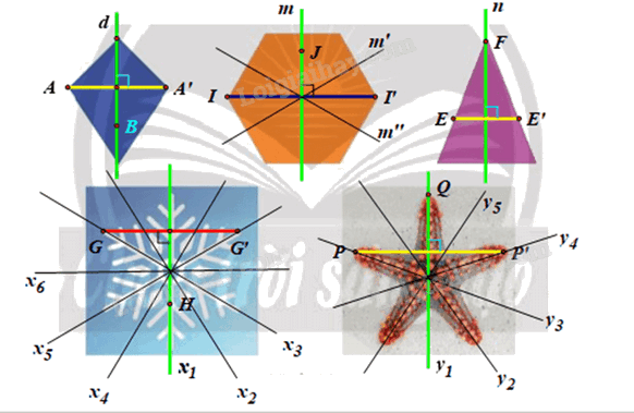 Giải mục 3 trang 17, 18 Chuyên đề học tập Toán 11 - Chân trời sáng tạo 4