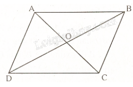 Giải mục 3 trang 18, 19 Chuyên đề học tập Toán 11 - Kết nối tri thức 1 1