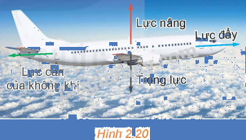Giải mục 3 trang 52, 53, 54 SGK Toán 12 tập 1 - Kết nối tri thức 4 1