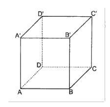 Giải mục 3 trang 60, 61, 62, 63, 64 SGK Toán 12 tập 1 - Cùng khám phá 4