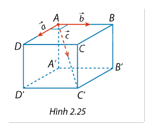 Giải mục 3 trang 60, 61, 62, 63, 64 SGK Toán 12 tập 1 - Cùng khám phá 6