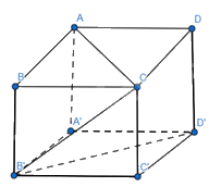 Giải mục 4 trang 48,49,50 SGK Toán 12 tập 1 - Chân trời sáng tạo 1