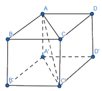 Giải mục 4 trang 48,49,50 SGK Toán 12 tập 1 - Chân trời sáng tạo 3