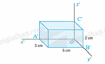 Giải mục 4 trang 59, 60, 61, 62, 63, 64 Chuyên đề học tập Toán 11 - Kết nối tri thức 5 2