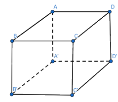 Giải mục 4 trang 79,80 SGK Toán 12 tập 1 - Cánh diều 2