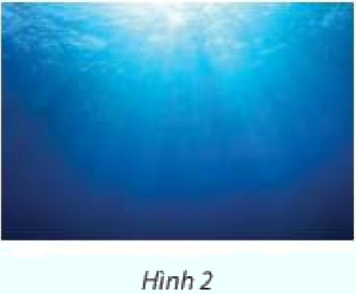 Giải mục 5 trang 11, 12 SGK Toán 11 tập 2 - Chân trời sáng tạo 1