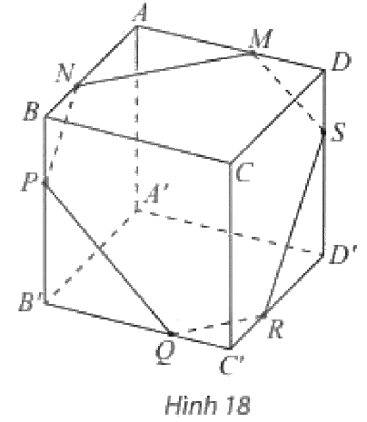 Giải mục 5 trang 117, 118, 119 SGK Toán 11 tập 1 - Chân trời sáng tạo 1