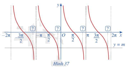 Giải mục 5 trang 38 SGK Toán 11 tập 1 - Cánh Diều 1